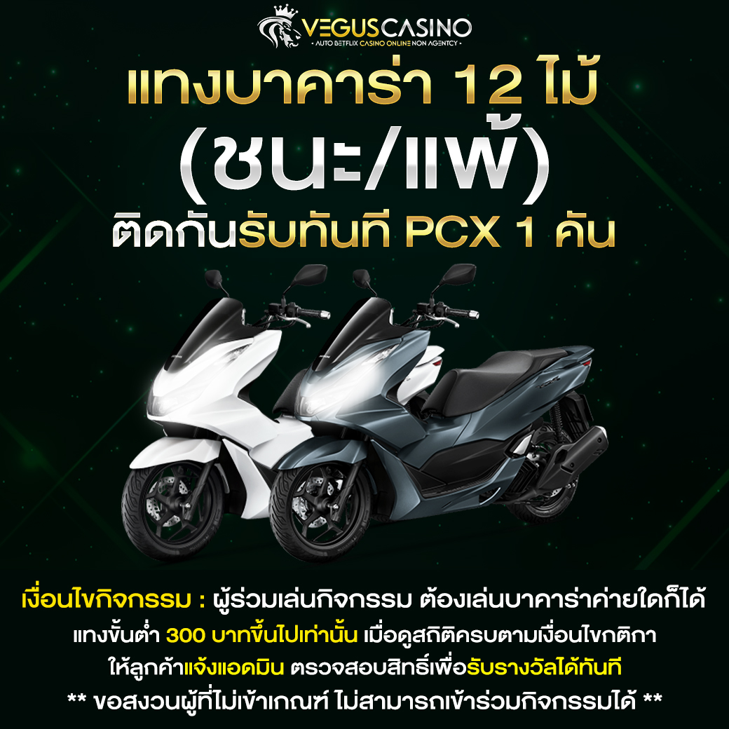 WILD168 แทงบาคาร่า ถูกหรือผิด 12 ไม้ติดรับ PCX 1 คัน